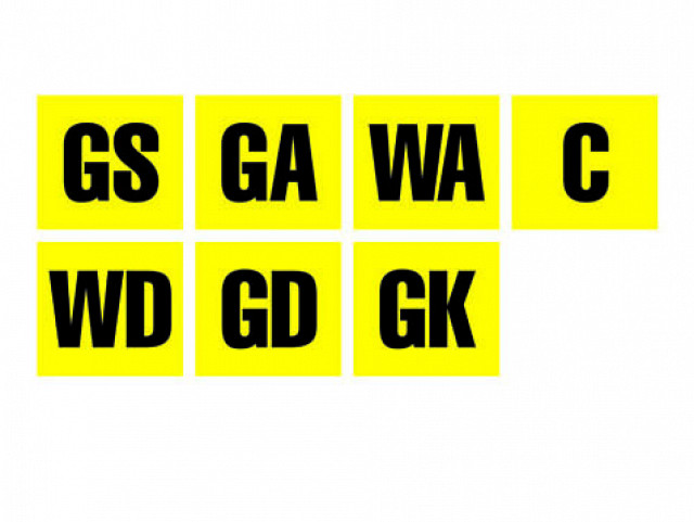 SUBLIMATED PATCH BIBS